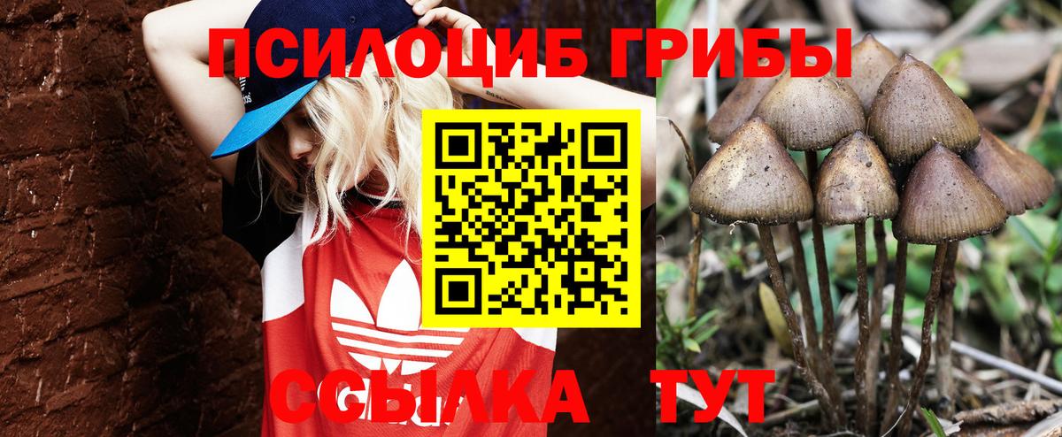 Галлюциногенные грибы ЛСД  Псилоцибиновые грибы Psilocybine cubensis  Вход с VPN  Куйбышев 