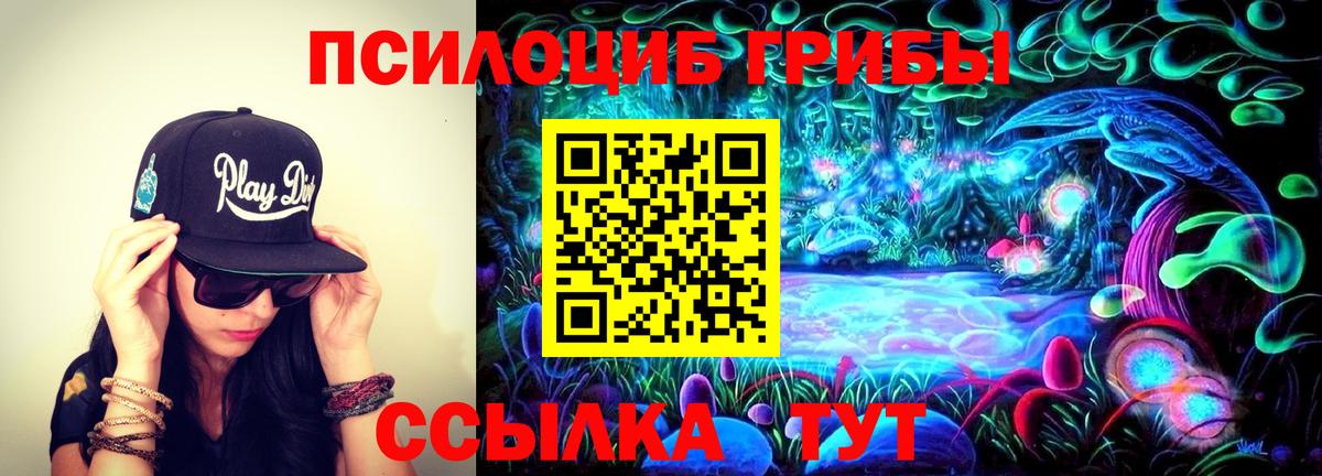 Псилоцибиновые грибы прущие грибы Куйбышев